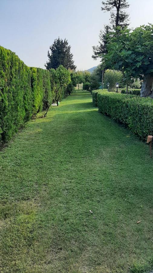 Casale Battaglini Bed & Breakfast Castelnuovo Cilento Exterior foto