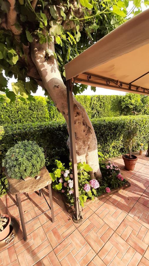 Casale Battaglini Bed & Breakfast Castelnuovo Cilento Exterior foto