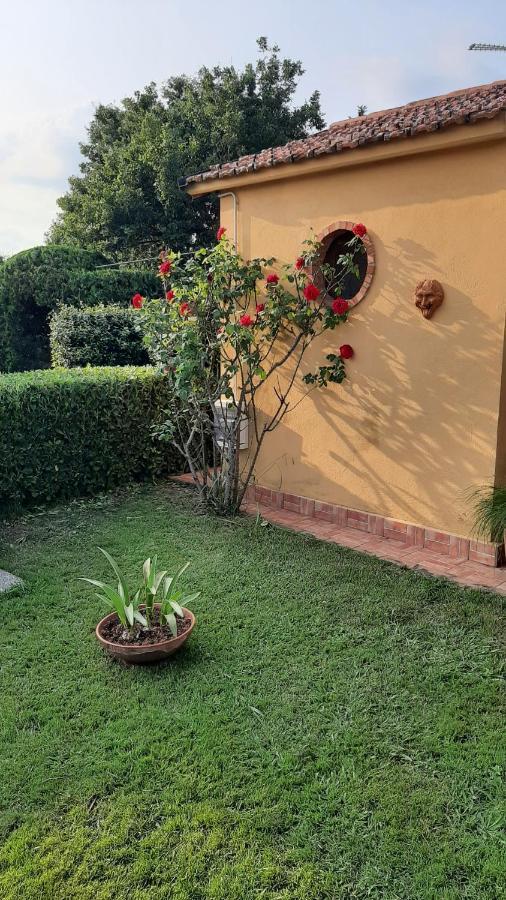 Casale Battaglini Bed & Breakfast Castelnuovo Cilento Exterior foto